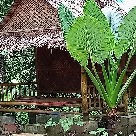 Khao Sok National ParkKhai Jungle Experience Camp & Tourアパートメント エクステリア 写真