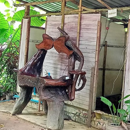 Khao Sok National ParkKhai Jungle Experience Camp & Tourアパートメント エクステリア 写真