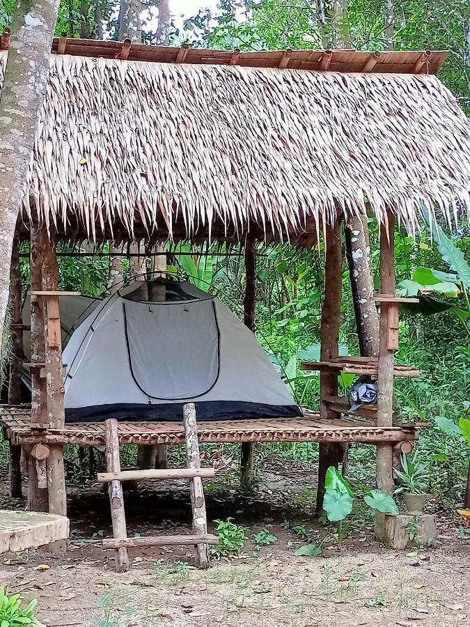 Khao Sok National ParkKhai Jungle Experience Camp & Tourアパートメント エクステリア 写真
