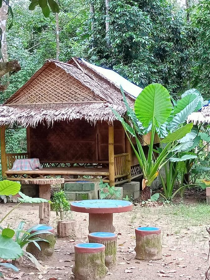 Khao Sok National ParkKhai Jungle Experience Camp & Tourアパートメント エクステリア 写真