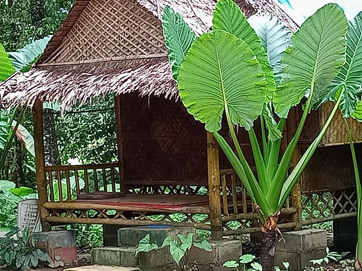 Khao Sok National ParkKhai Jungle Experience Camp & Tourアパートメント エクステリア 写真