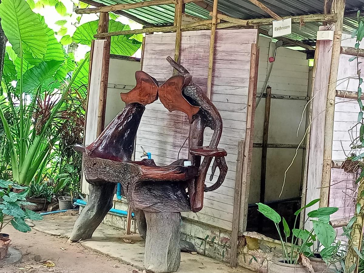 Khao Sok National ParkKhai Jungle Experience Camp & Tourアパートメント エクステリア 写真