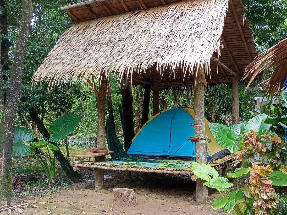 Khao Sok National ParkKhai Jungle Experience Camp & Tourアパートメント エクステリア 写真