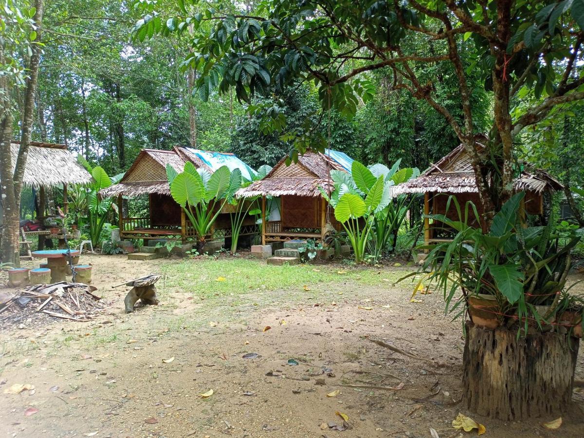 Khao Sok National ParkKhai Jungle Experience Camp & Tourアパートメント エクステリア 写真