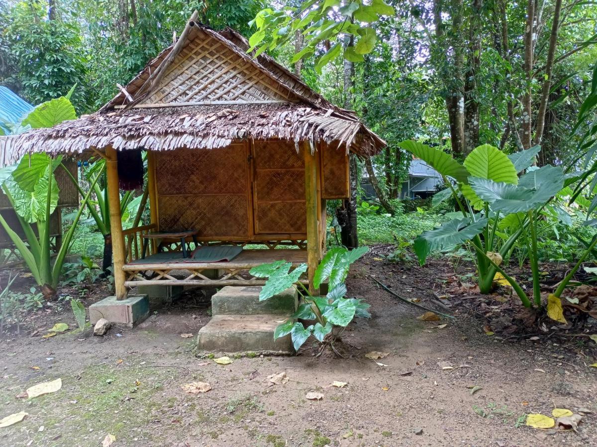 Khao Sok National ParkKhai Jungle Experience Camp & Tourアパートメント エクステリア 写真